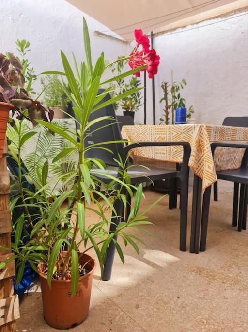 Estancia De Ensueno Y Relax Parking Gratuito Гранада Екстериор снимка