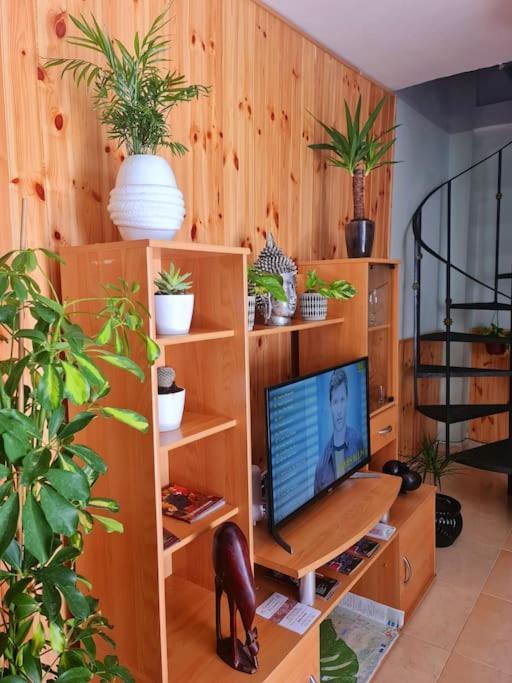 Estancia De Ensueno Y Relax Parking Gratuito Гранада Екстериор снимка