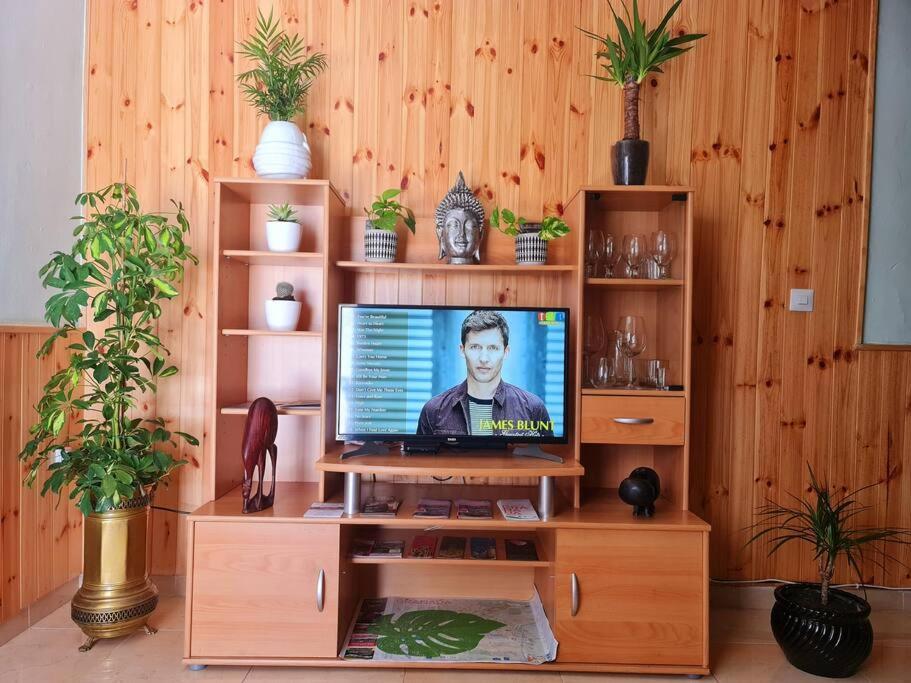 Estancia De Ensueno Y Relax Parking Gratuito Гранада Екстериор снимка